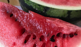 西安八卦吃瓜爆料,揭秘网红吃瓜背后的故事