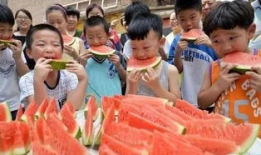 吃瓜爆料社讨论区,揭秘娱乐圈幕后真相，带你走进明星生活